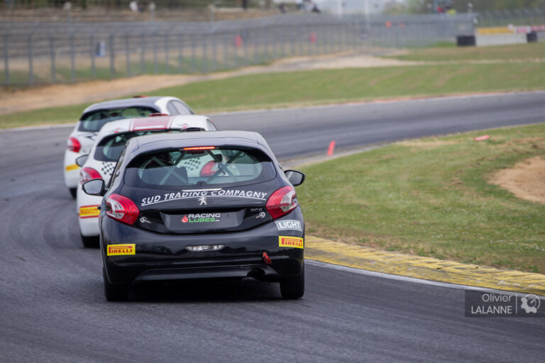 TC France, Course 2 Steven Palette sur tapis vert