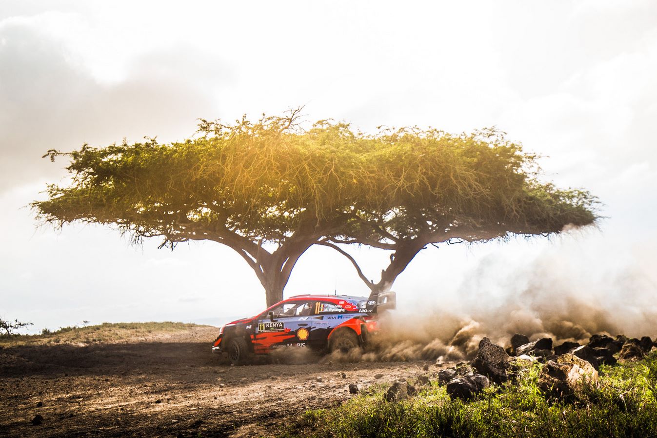 Thierry Neuville en tête après la 2e journée du Rallye du Kenya - L'Équipe