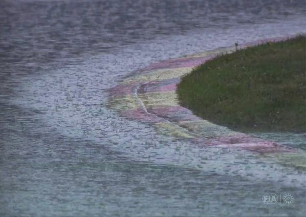 6 Heures de Spa, H+2 : la pluie déclenche le Drapeau Rouge