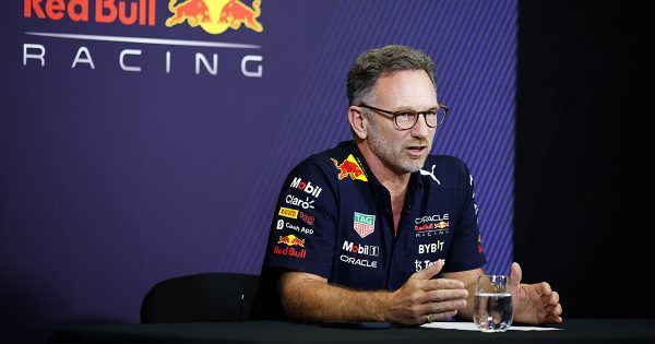 Christian Horner : "cette pénalité va nous coûter 0"5 au tour"