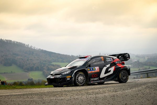 Europe Centrale, ES14 : Ogier maîtrise les éléments