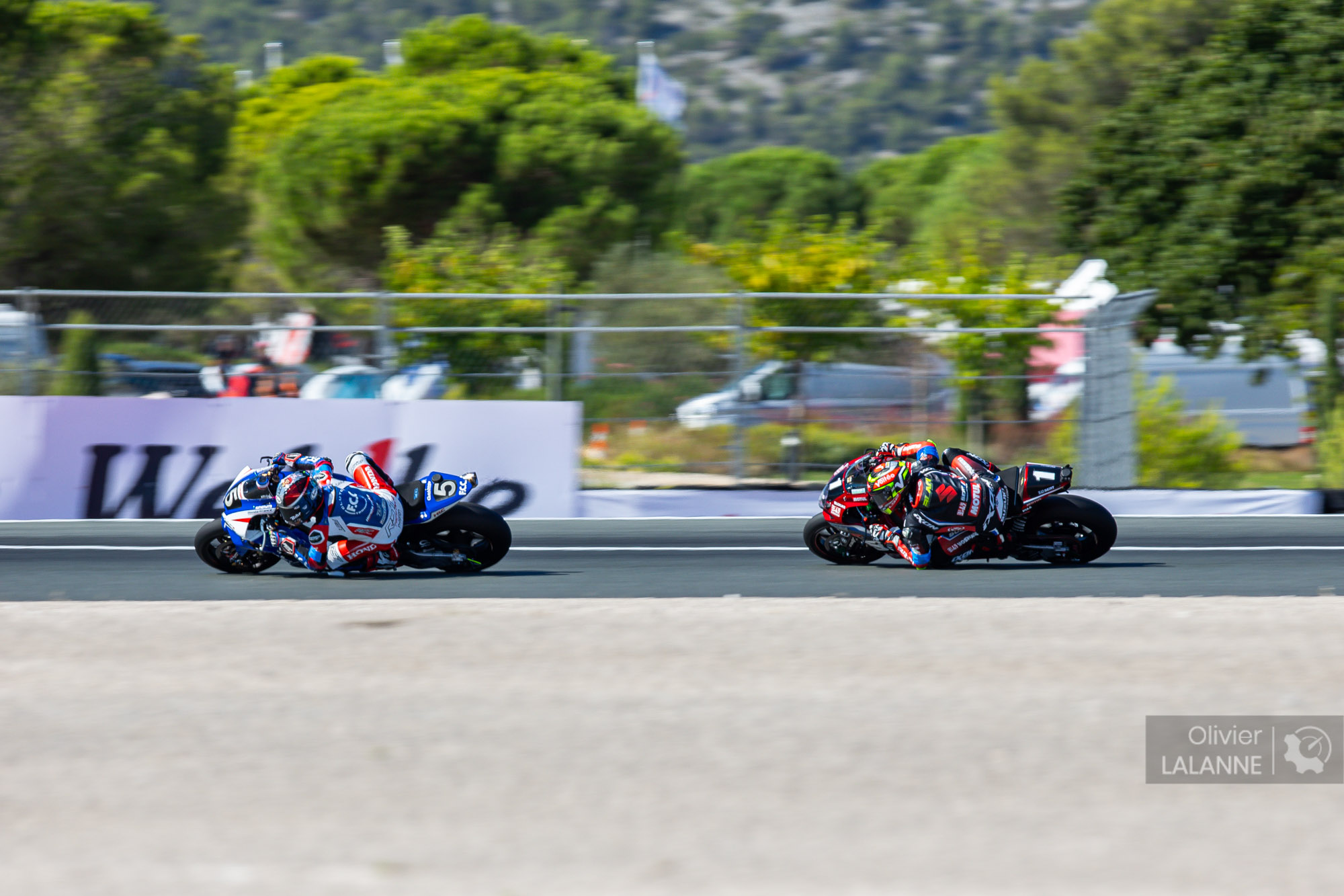 5 F.C.C. TSR Honda France Honda CBR1000 RR-R EWC, TECHER Alan (FRA), PEROLARI Corentin (FRA), HADA Taiga (JPN), VIÑALES MARES Isaac (ESP), 1 YOSHIMURA SERT MOTUL Suzuki GSX-R1000R EWC, BLACK Gregg (GBR), MASSON Etienne (FRA), LINFOOT Dan (GBR), action