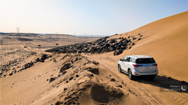 Ogier, Rovanperä ou Evans, qui sera sacré en Arabie saoudite ?