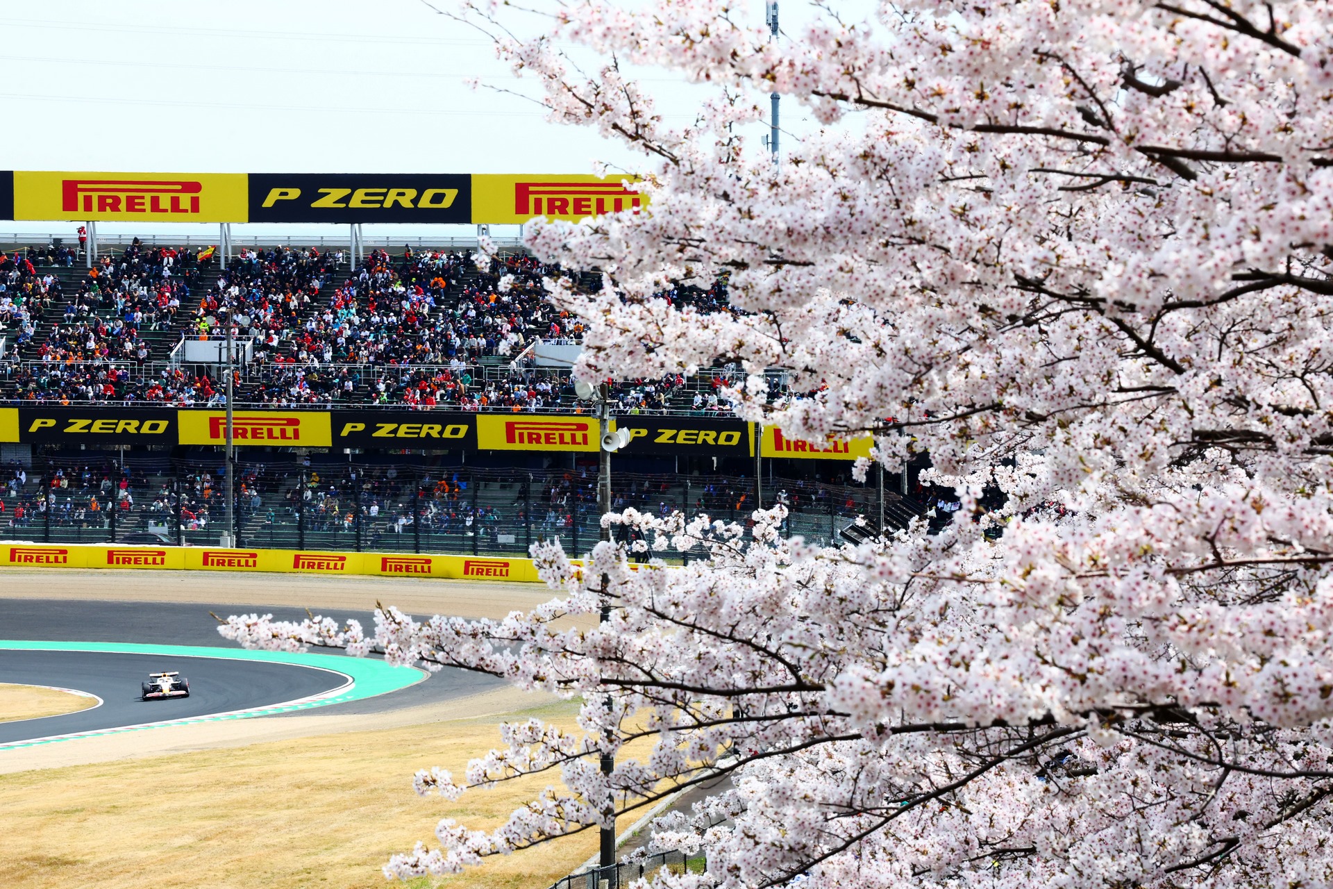 Grand Prix du Japon 2025