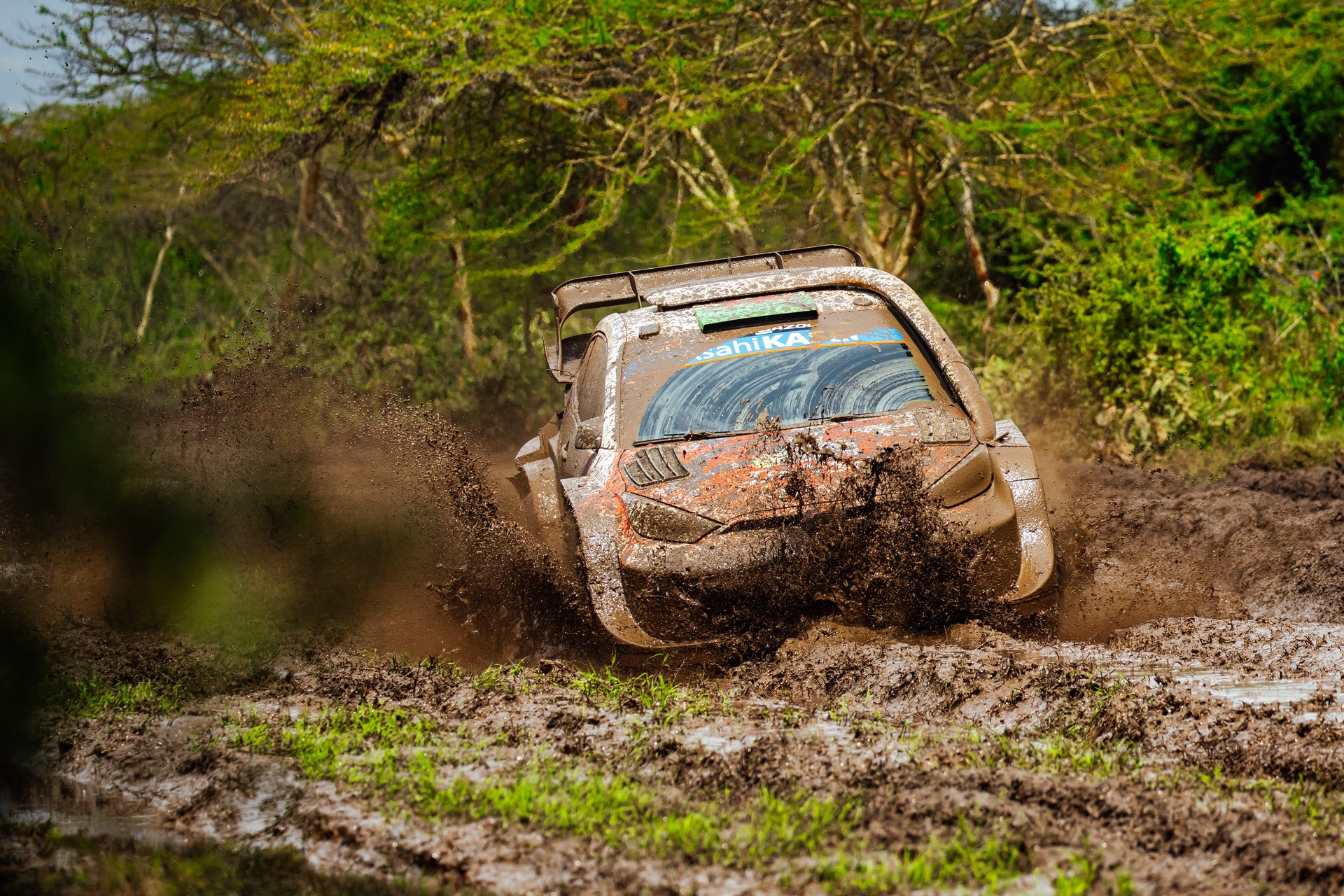 Evans au Safari Rally Kenya 2026