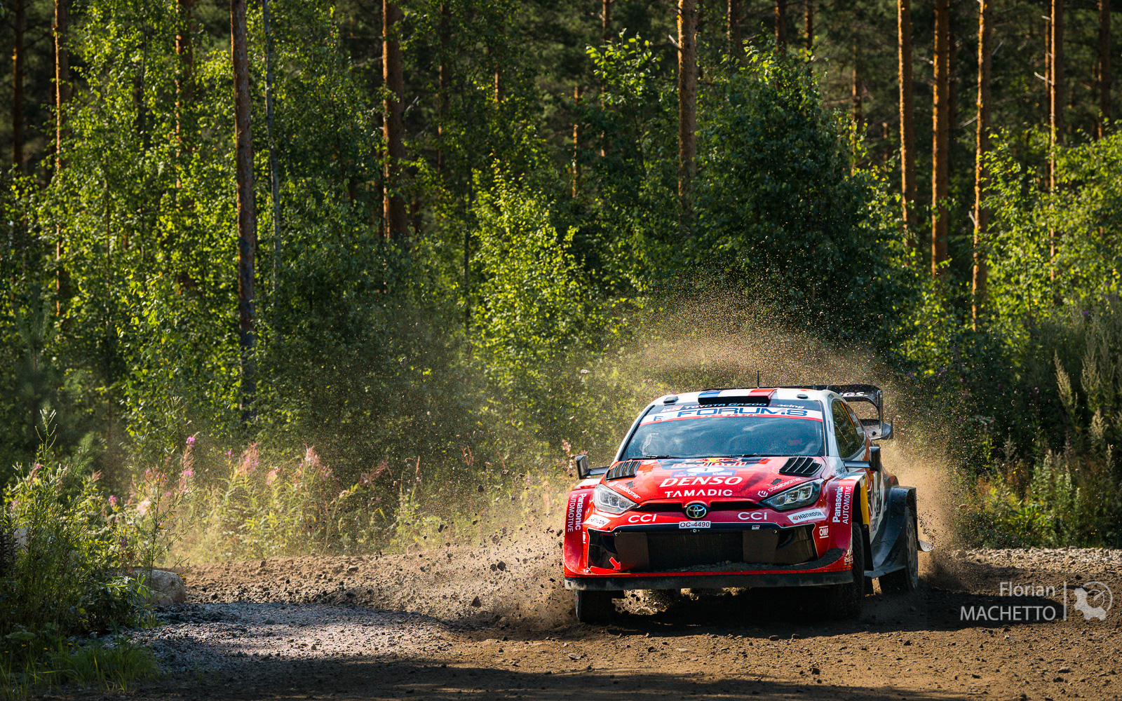 Finlande, ES10 : Ogier sort leader d'une journée chaotique