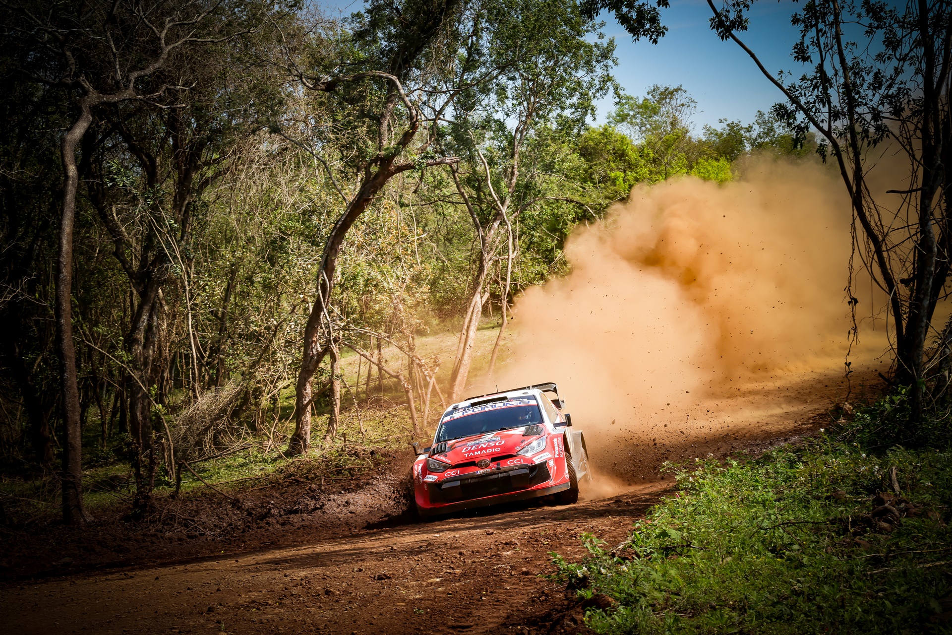 Katsuta au Shakedown du Rallye du Paraguay 2026