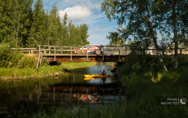 Finlande, ES17 : Violente sortie de route pour Ogier !