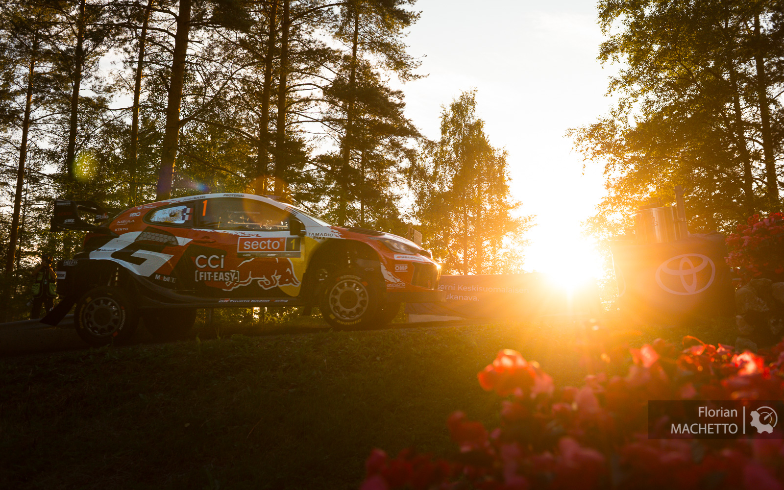 Finlande, ES14 : Evans en tonneaux, Ogier toujours leader !