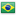 Drapeau de Brazil